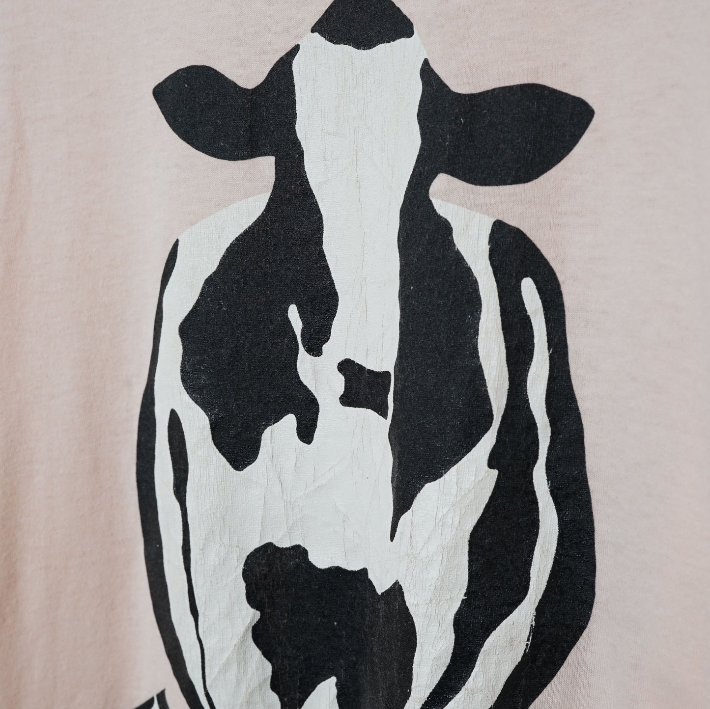 Screen Stars Printed T-Shirt / Late ’80s–Early ’90s (Made in USA)