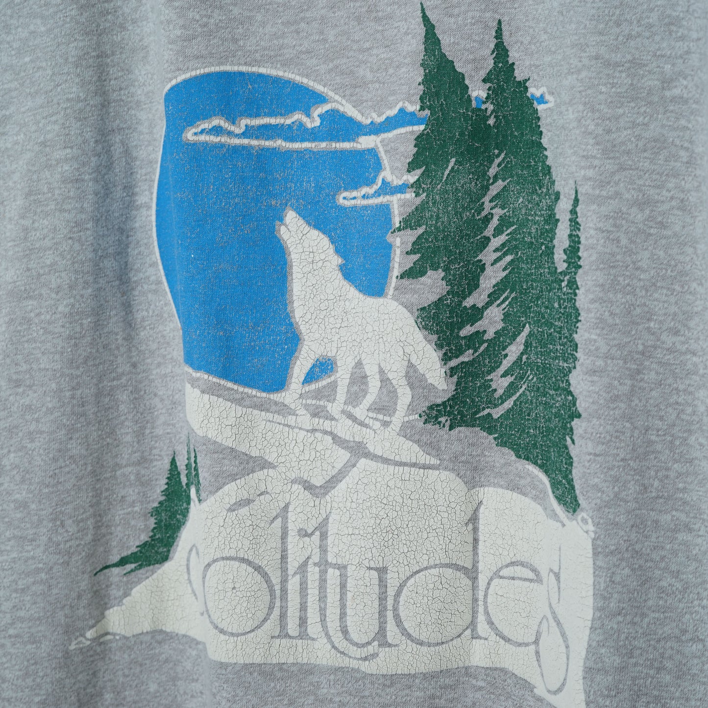 Screen Stars Best Printed T-shirt / Late '90s-Early '00s (Made in Canada)